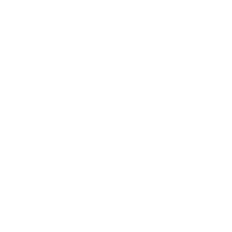 Logo Chat
