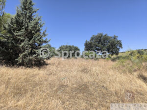 IMG_20260629_115231
