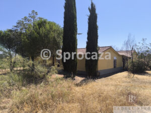 IMG_20260629_115321