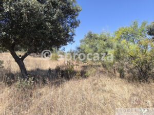 IMG_20260629_115610