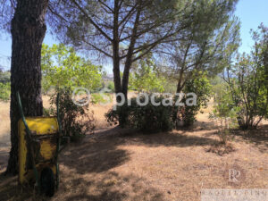 IMG_20260629_120016