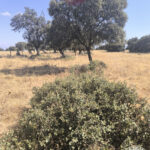 IMG_20260725_113751